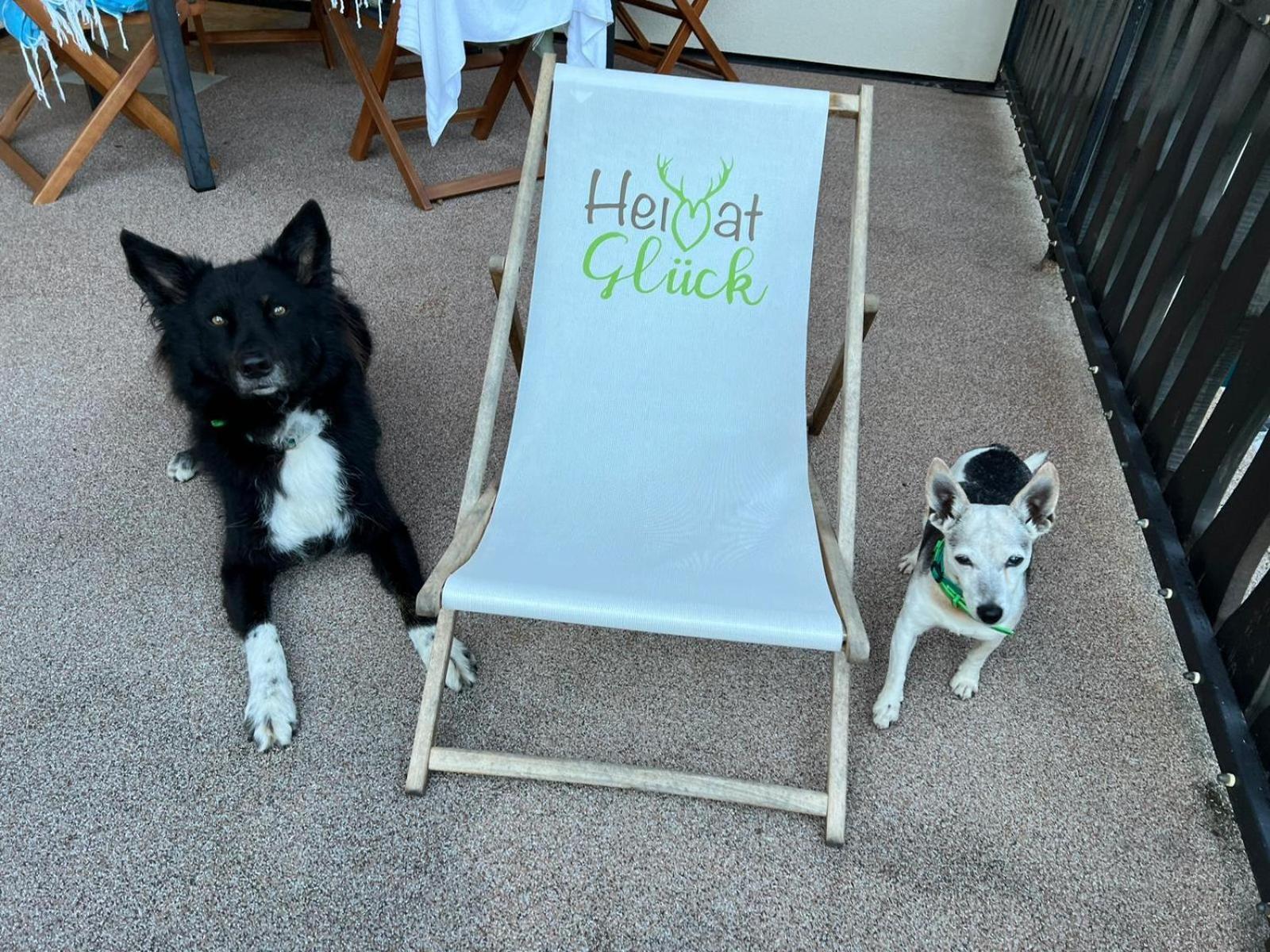 Apartment Heimatglueck