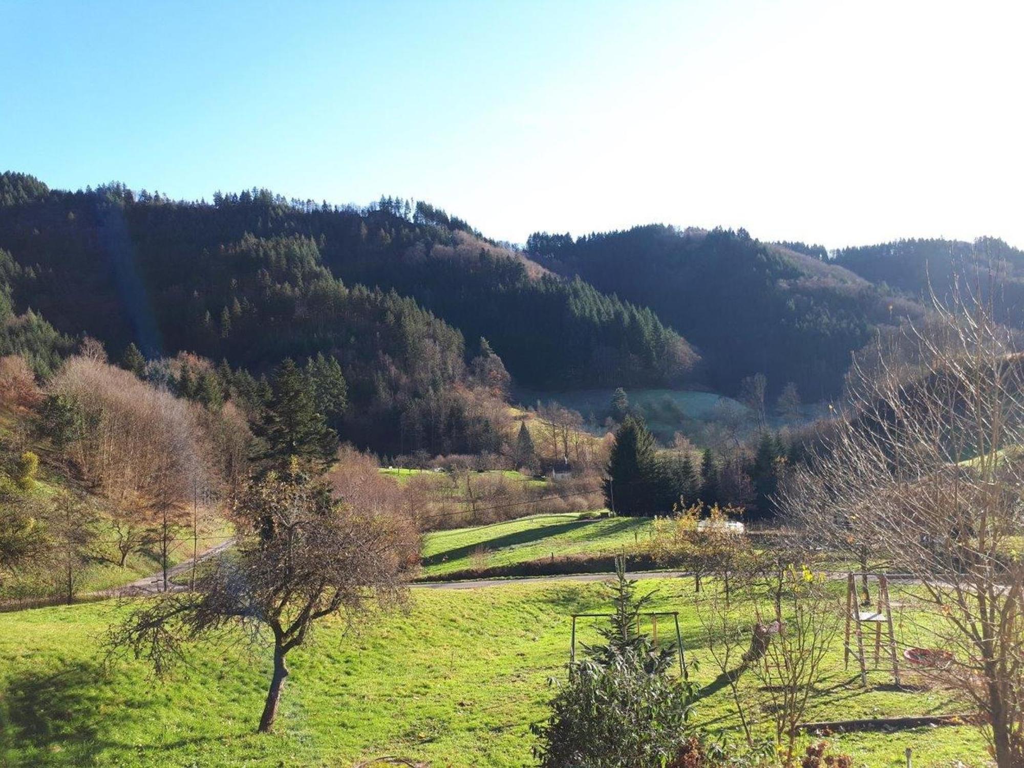 Heimatglueck * Lautenbach